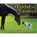 A_friend_for_Einstein