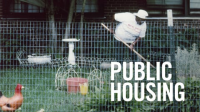 Public_Housing