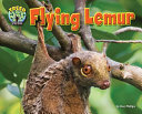 Flying_lemur