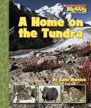 A_home_on_the_tundra