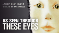 As_Seen_Through_These_Eyes