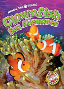 Clownfish_and_sea_anemones