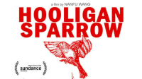 Hooligan_sparrow