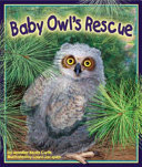 Baby_owl_s_rescue
