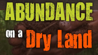 Abundance_on_a_dry_land