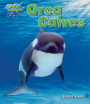 Orca_calves