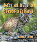Baby_animals_in_forest_habitats