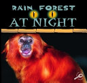 Rain_forest_at_night