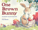 One_brown_bunny