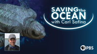 Saving_the_ocean_collection