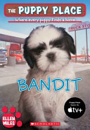 Bandit___The_Puppy_Place