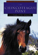 The_Chincoteague_pony